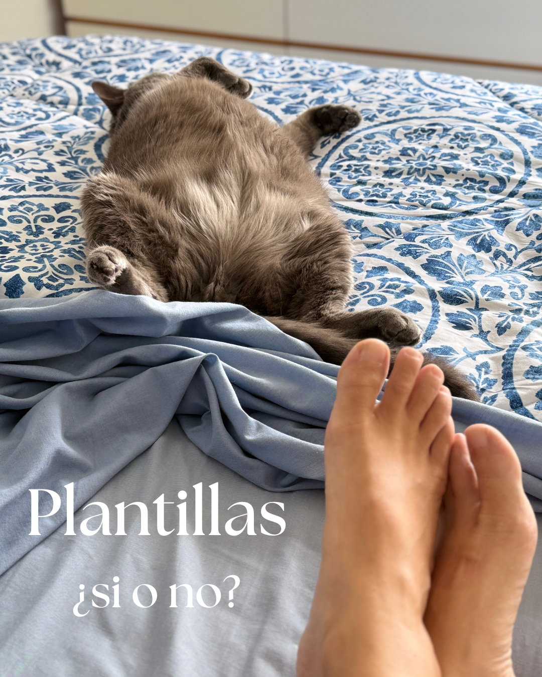 ¿Conoces alguien que no use plantillas toda su vida?